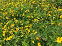 -永定河休闲森林公园