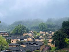 -杨家堂村