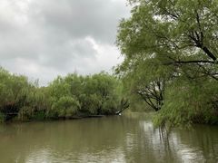 -长兴太湖图影湿地文化园
