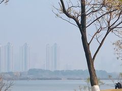 -盘龙城国家考古遗址公园