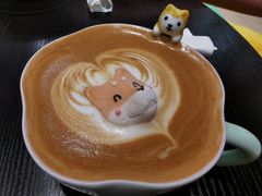 -逗柴咖啡屋·狗咖猫咖宠物桌游