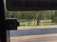 -九鼎轩脆毛肚火锅(商业街店)