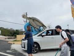 -广东惠东海龟国家级自然保护区