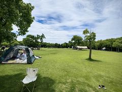 -上海吴淞炮台湾国家湿地公园