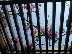 -东山雕花楼