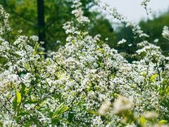 -北京西山国家森林公园