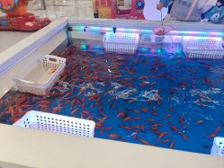 -孩子王童乐园(资阳万达店)