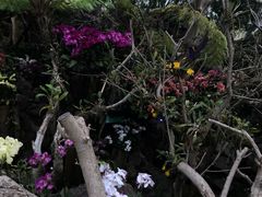 -南通洲际绿博园