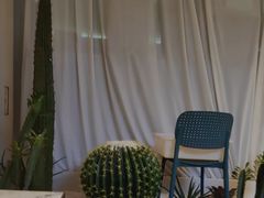 -悦海·家宴·冰花皮皮虾大锅贴(宝龙店)