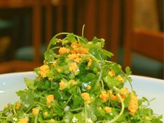 三叶香拌海胆-海铺·渔家虾水饺(皇姑店)