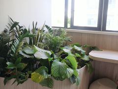 -观心实验室·心理咨询(上海旗舰店)
