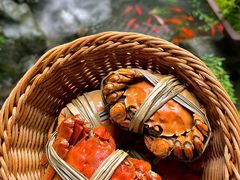 -蟹村草堂·苏式园林人文农家·大闸蟹