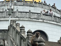 -苏州上方山国家森林公园