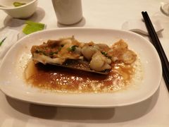 竹蛏王-上海会馆(香港名都店)