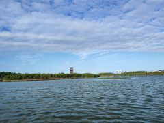 -春花秋色城市公园