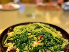 -沙龙酒家