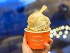 -Patagonia Chocolates(皇后镇店)