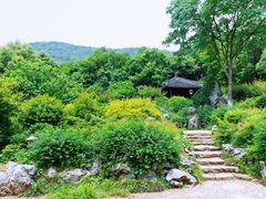 -习家池
