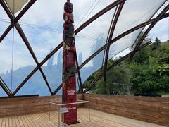 -怀托摩萤火虫洞