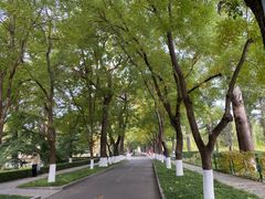 -中国农业博物馆