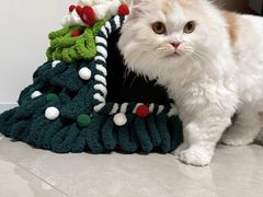 -蔚来中心(北京中关村店)