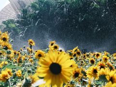 -海心沙亚运公园