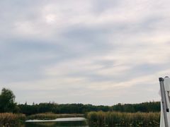 -同里国家湿地公园