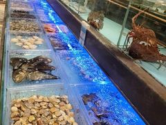 -阿伟海鲜楼·福建菜(延寿店)