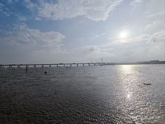 -南汇新城海滩