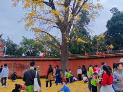 -金堂县云顶石城风景区