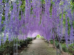 -宝岩生态观光园