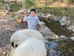 -HERRE·FARM 赫尔露营农场·团建聚会包场