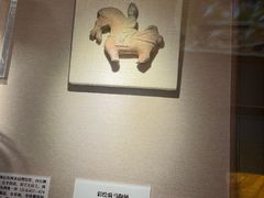 -呼和浩特博物馆