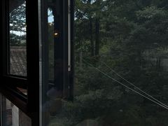 -WILDS 野有食(碧坞店)