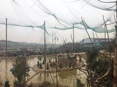 -五龙山野生动物王国