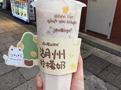 柠檬奶-猫的魔法密林(衣裳街店)