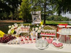 -南宁良凤江国家森林公园