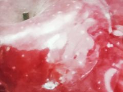 -PAGODA百果园(深圳天琴阁店)