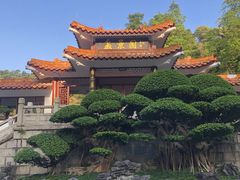 -深圳仙湖植物园