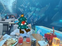 -涛·海底餐厅·美人鱼·自助餐·海底隧道(三亚海棠湾洲际度假酒店)