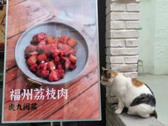 -有肉食·虎九闽菜(798艺术区店)