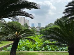 -四川大学(华西校区)