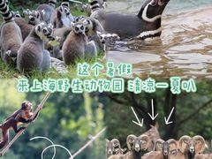 -上海野生动物园
