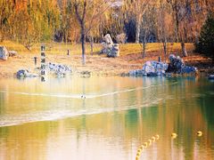 -野鸭湖国家湿地公园