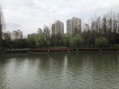 -黄兴公园