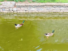 -三里河公园