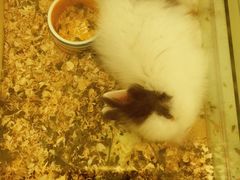 -龙猫仔乐园(惠福东路店)