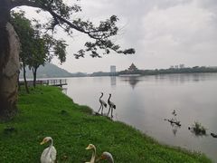 -顺峰山公园