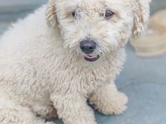 -乡乐园蟹庄·阳澄湖农家乐