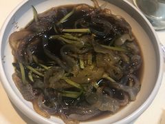 -丁老爷子苏香圆